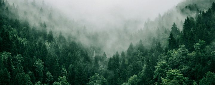 Canadian landscape